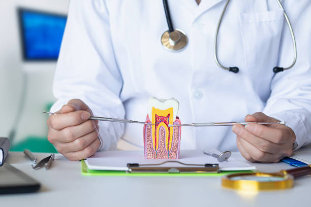 Best Emergency Wisdom Teeth Removal in Harrisburg, IL